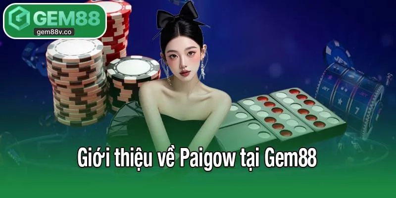 Giới thiệu về Paigow tại Gem88